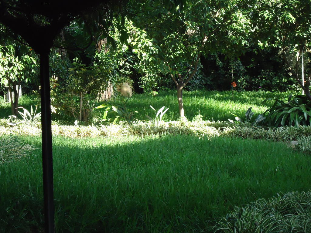 B&B Cottage Dei Consoli Sant'Agata Li Battiati Luaran gambar